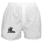 Eagle Pen and Ink Boxer Shorts by NANCE